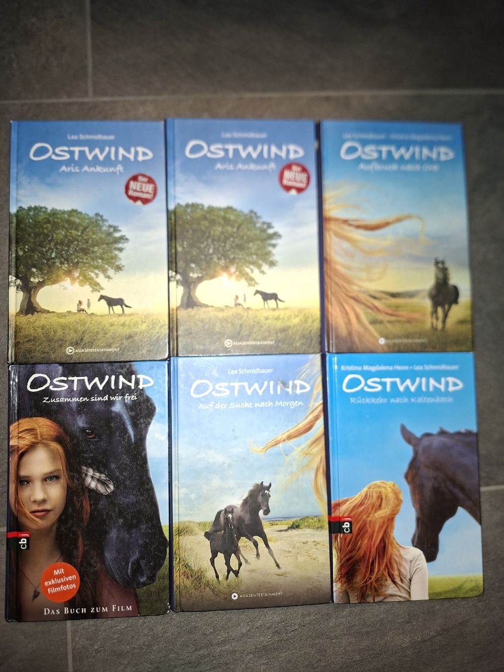 Livres: OSTWIND Buecher 6 Stueck gebraucht – D'occasion à Wängi par Pet_79tp 1