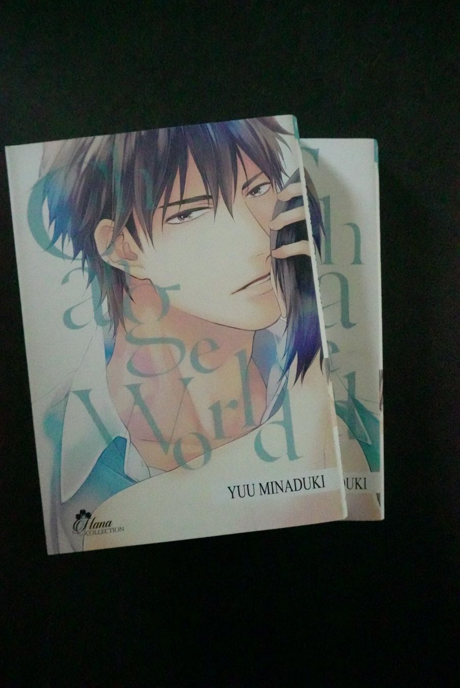 Fumetti: Manga "Change World" – Usato da Onex venduto da Louve.crz