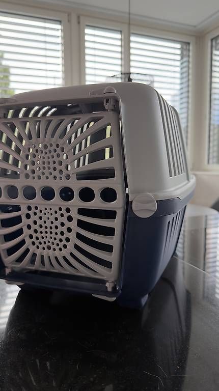 Gabbie, trasporto & Sicurezza: Transportbox Katzen / Hunde – Usato da Brugg AG venduto da fluc15 1