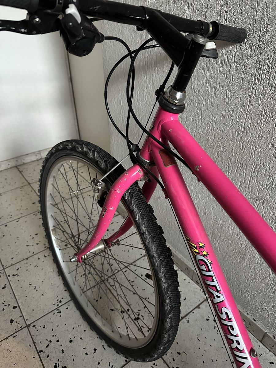 Biciclette: Pink Mountain Bike - need fixing – Usato da Dübendorf venduto da wil_5n9s 2
