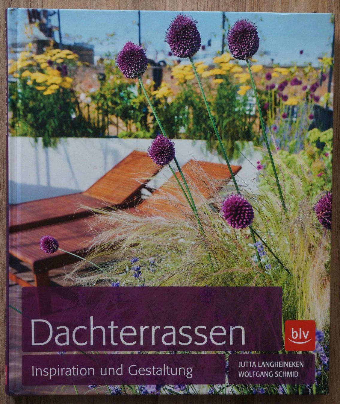 Libri: Dachterrassen – Usato da Schindellegi venduto da woneschi