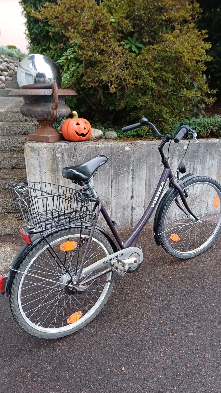 Velos: Velo – Gebraucht aus Bülach von Sandaniele 6