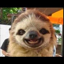 Profile image of Stu_v9mz