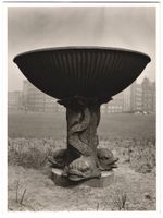 Fotografie Hamburg, Schale mit Fisch Fus