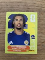Panini Sticker 2026 CUW 9