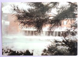 Lavey-les-Bains, piscines en hiver