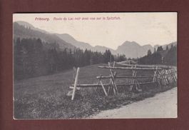 FRIBOURG - Route du Lac Noir - Spitzfluh - 1908