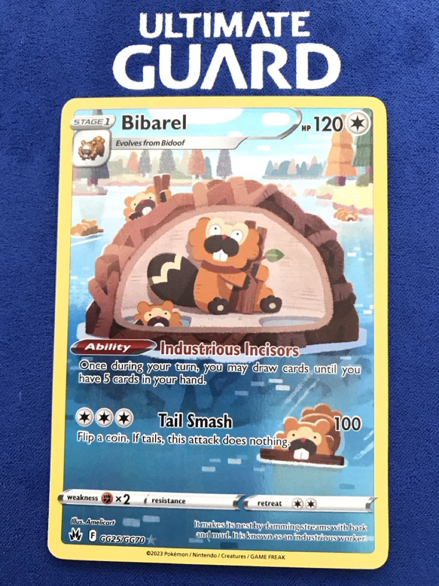Pokémon Sammelbilder & Trading cards: Pokemon TCG - Bibarel AA EN – Neu (gemäss Beschreibung) aus Lyss von DeaDiLuna