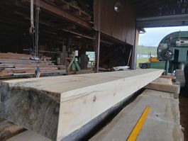 Arve Holz Balken Nr. 7