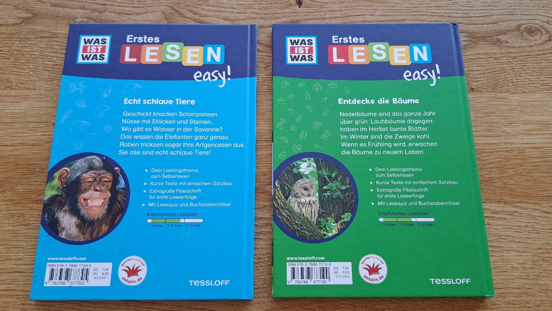 Libri: Wer Ist was Erstes Lesen 1. Klasse – Usato da Mauren venduto da juma0001 1