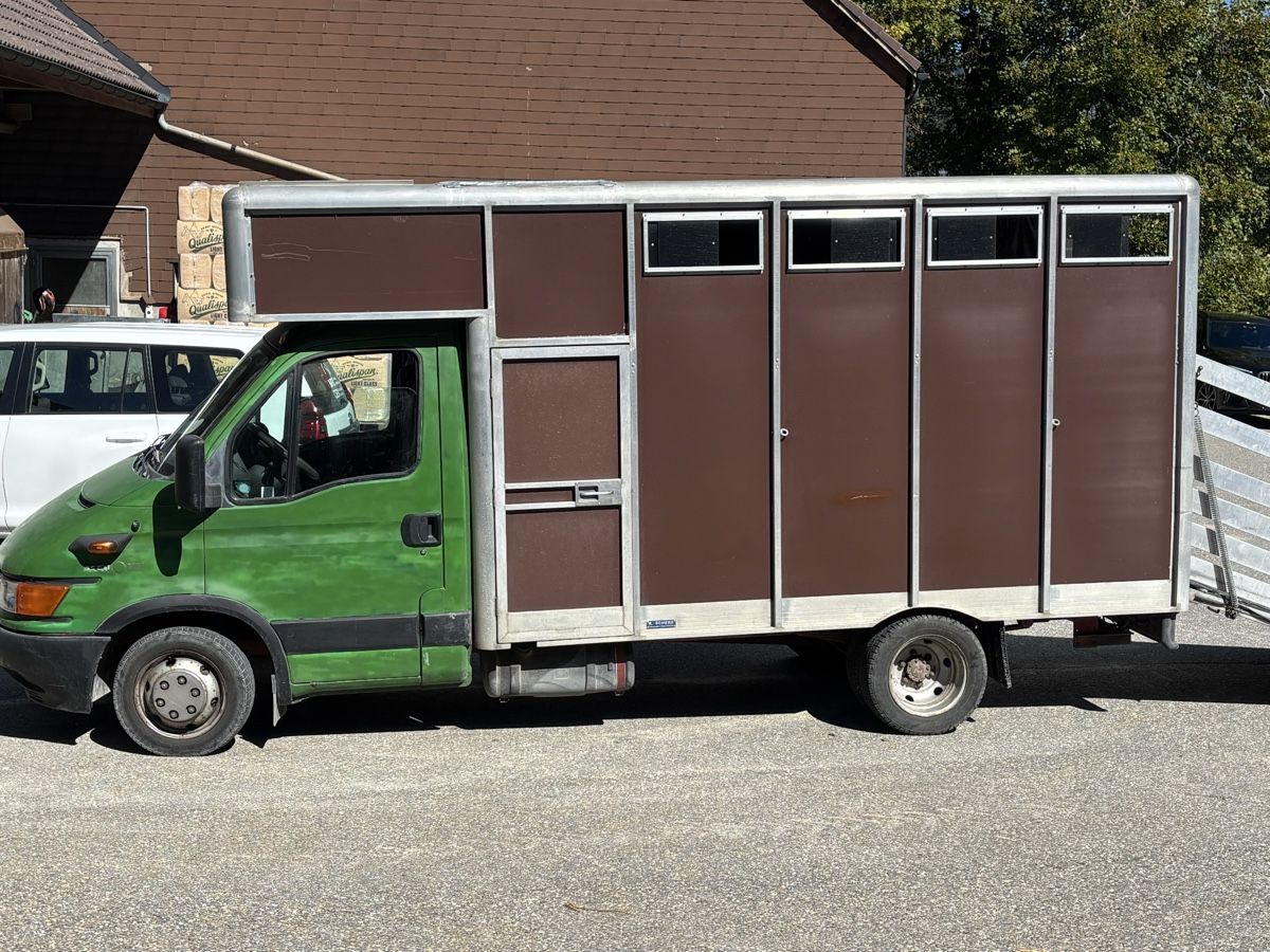 Iveco Veicoli commerciali: Pferdetransporter Iveco – Usato da Balsthal venduto da Mluethi 4