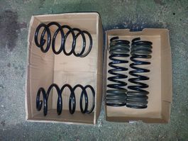 Schraubenfedern Fahrwerk Eibach  Ford Focus