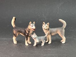 3 Schleich Tiere Husky Huskies Hund Wolf Hunde Wölfe