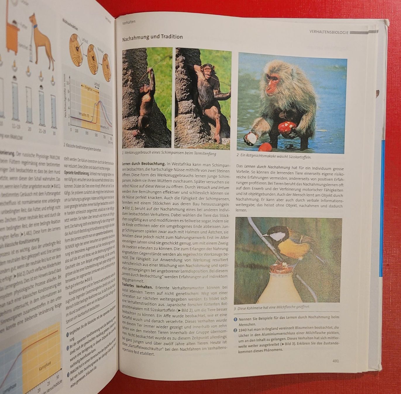 Libri: Biologie -  Schulbuch gebraucht – Usato da Zürich venduto da Avd 2