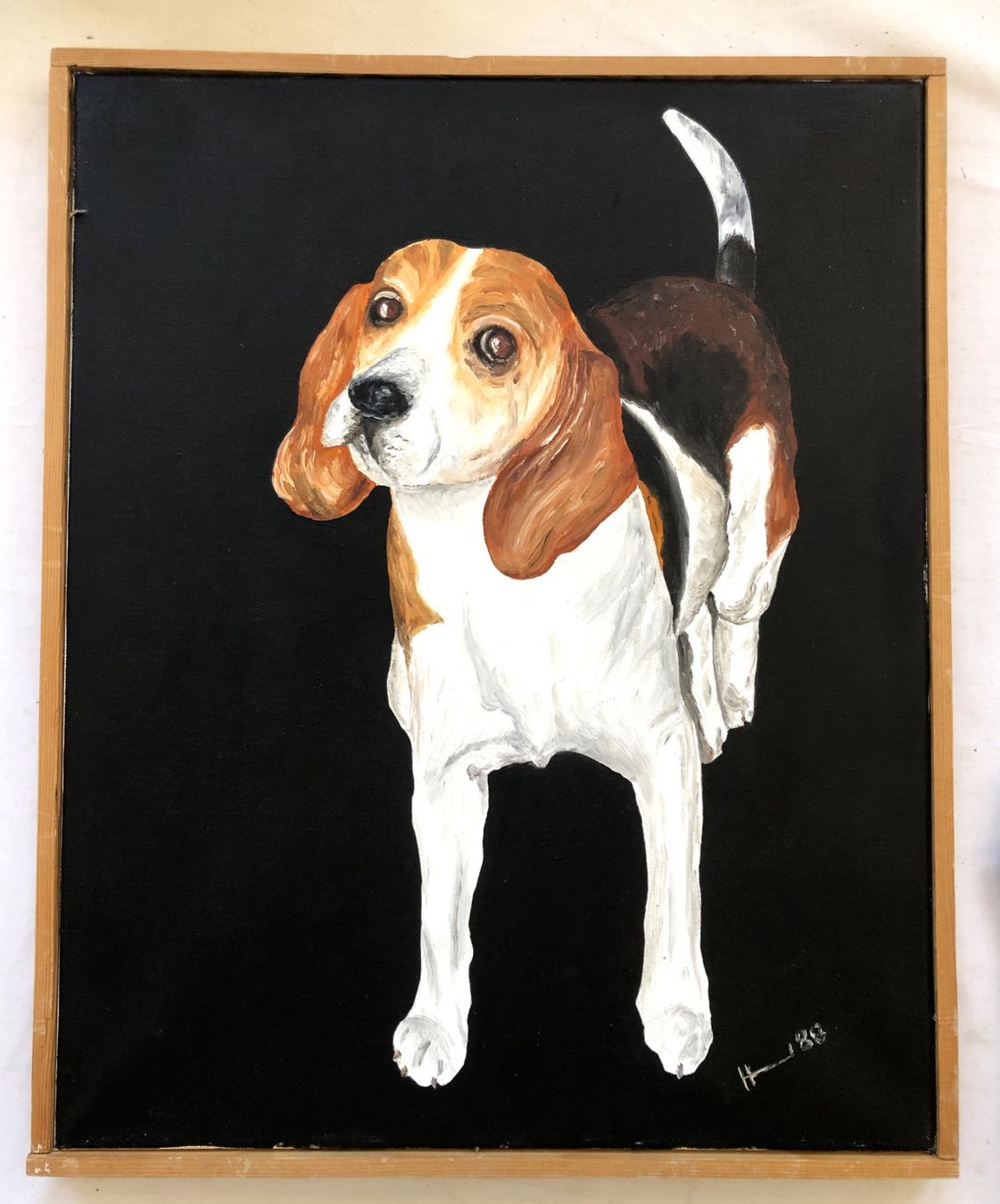 Dipinti: Beagle - Ölgemälde auf Leinwand - Original Kunstwerk – Usato da Schaffhausen venduto da durruti