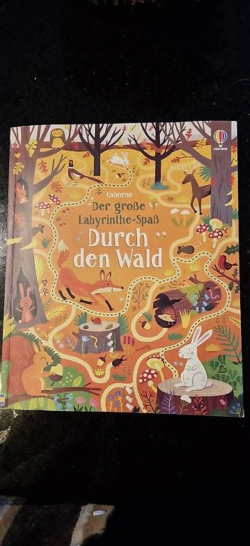 Spiele: Durch den Wald Labyrinthspiel – Gebraucht aus Dielsdorf von Patricia_Wirz 1
