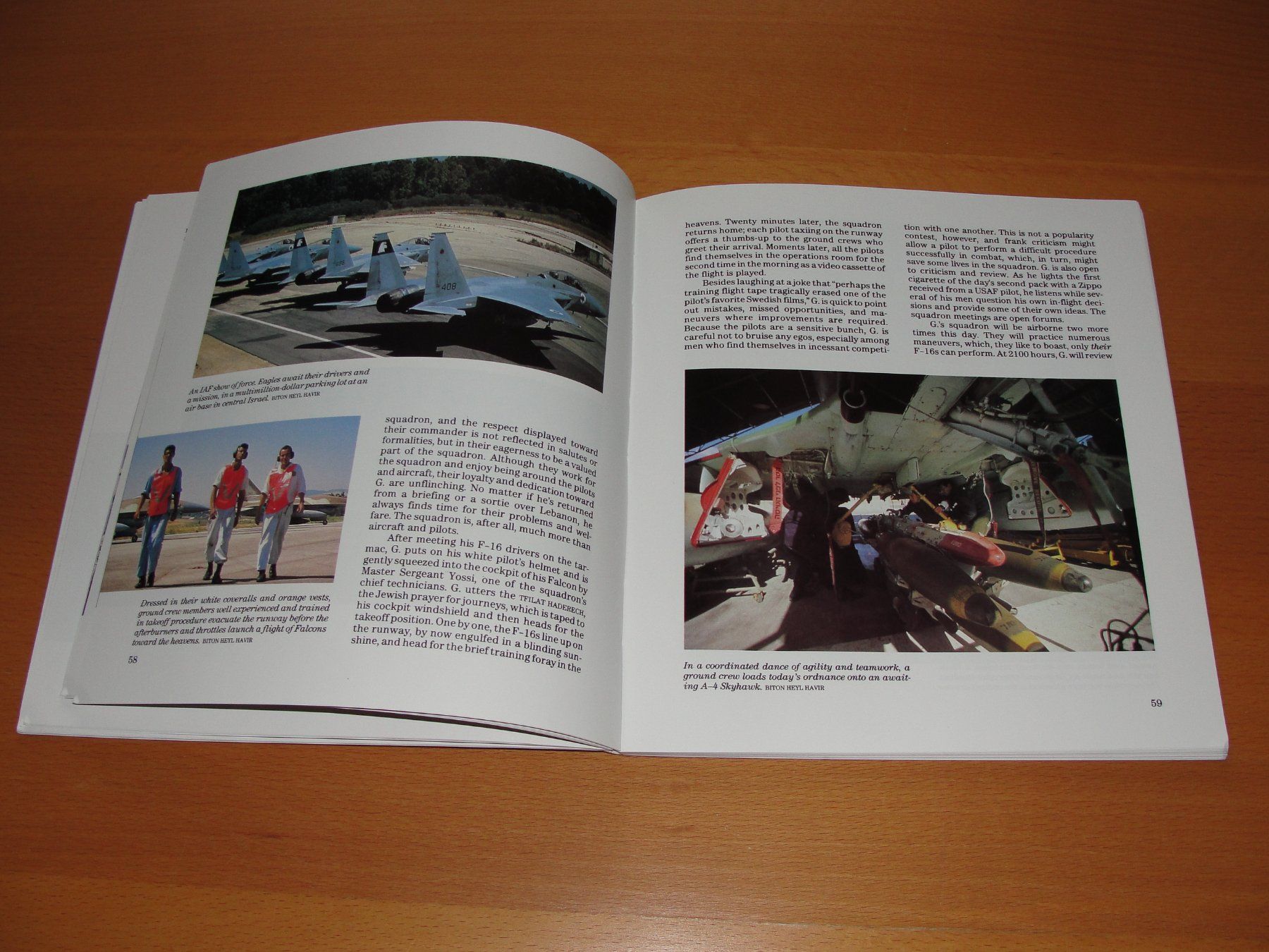 Libri: Buch Israel's Air Force – Usato da Birsfelden venduto da Seaknight 3