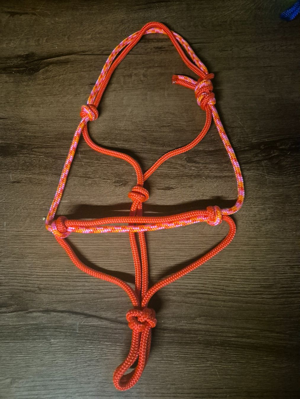 Zaumzeug & Halfter: Knotenhalfter Pony – Gebraucht aus Meggen von Orrinka20