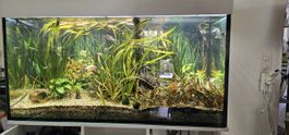 Aquarium 360l inkl zubehör 