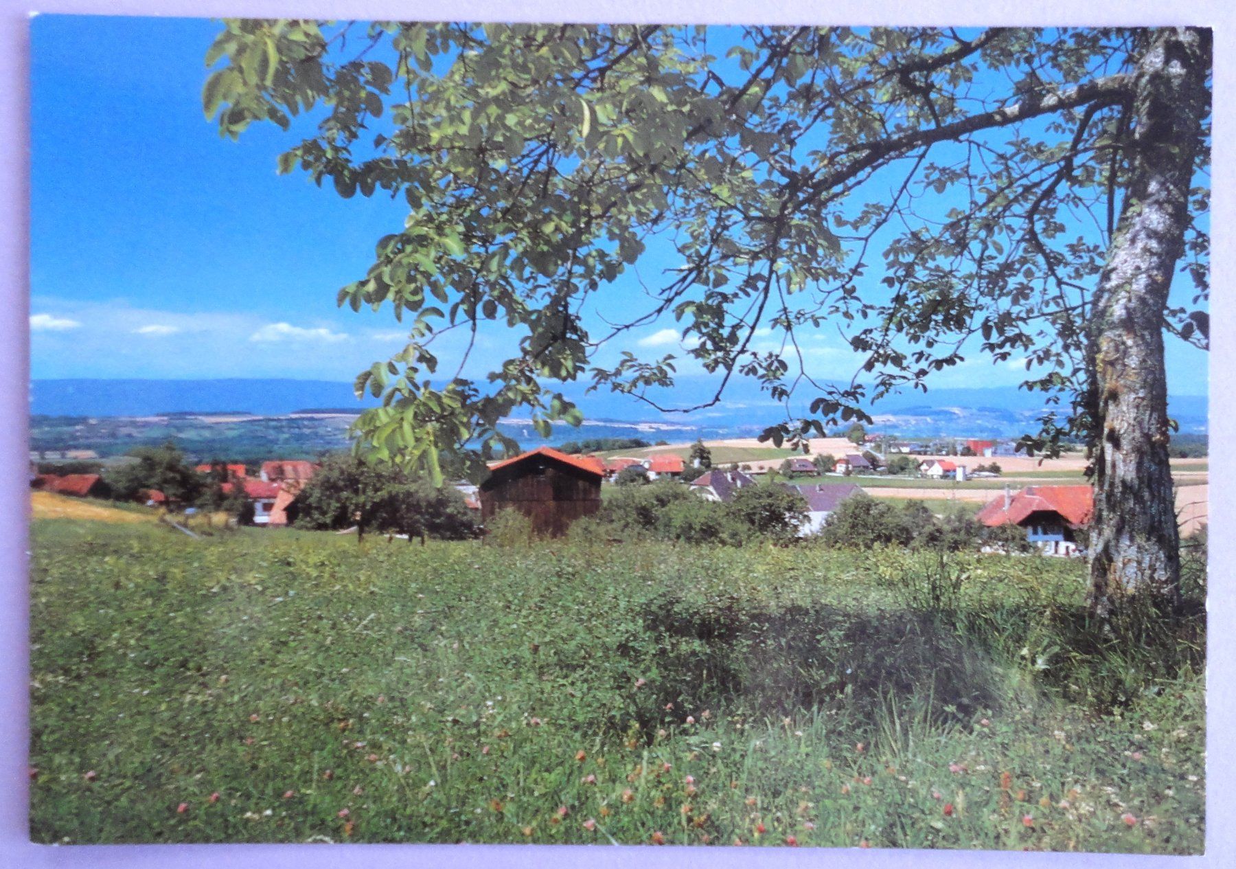 Ansichtskarten: Donatyre – Gebraucht aus Fétigny von Billy2miny