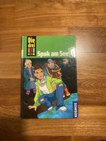 Kinderbuch "Spuk am See" gut erhalten