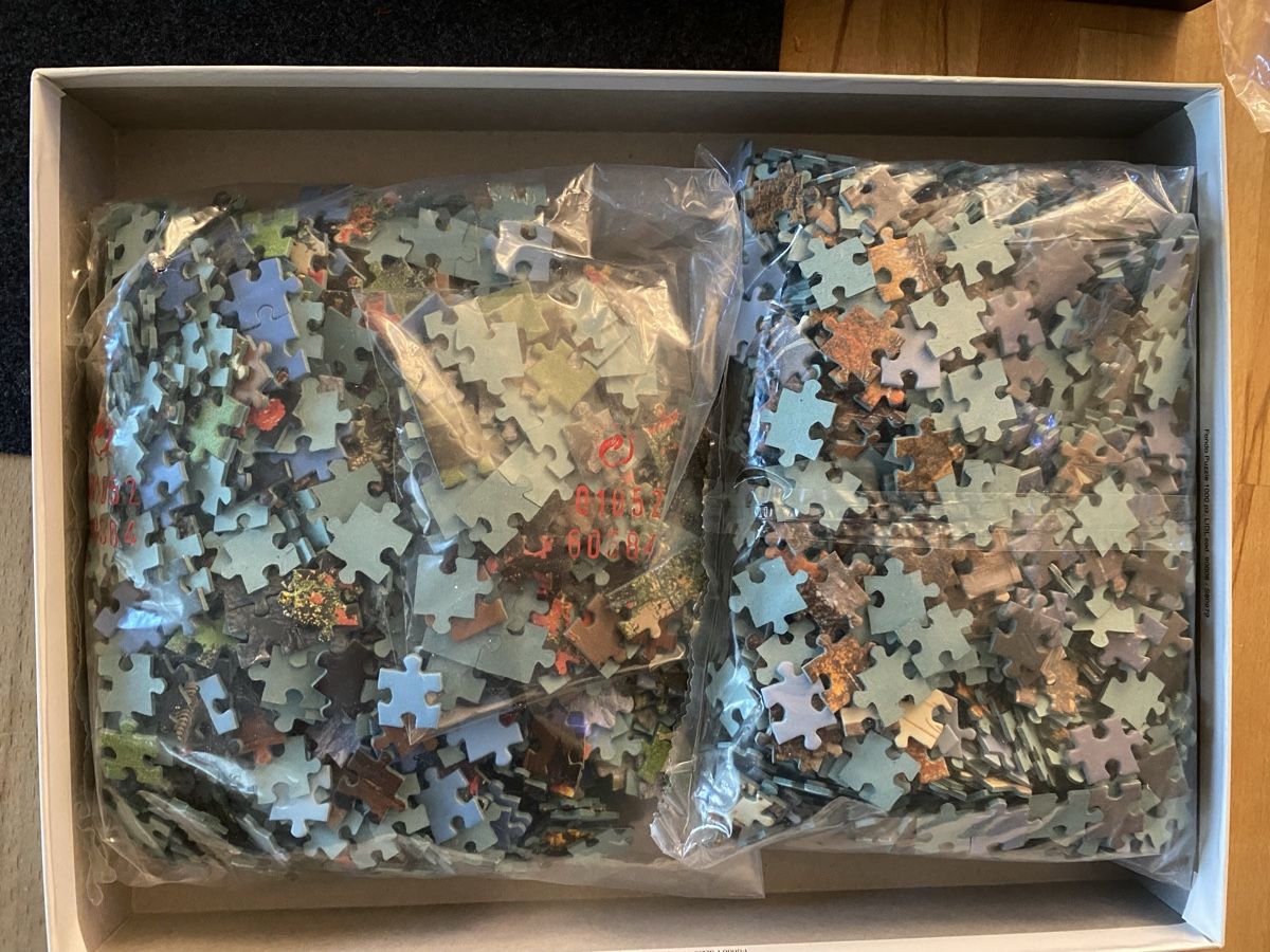 Puzzle: 2 Puzzles 1000 Teile Neuschwanstein und Gridelwald – Usato da Rheinfelden venduto da Tigerlilli 1