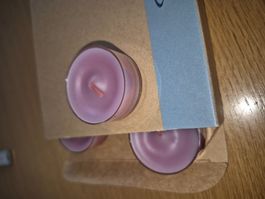 Partylite Teelichter 12 Stk. pro Pack Himbeer-Thymian