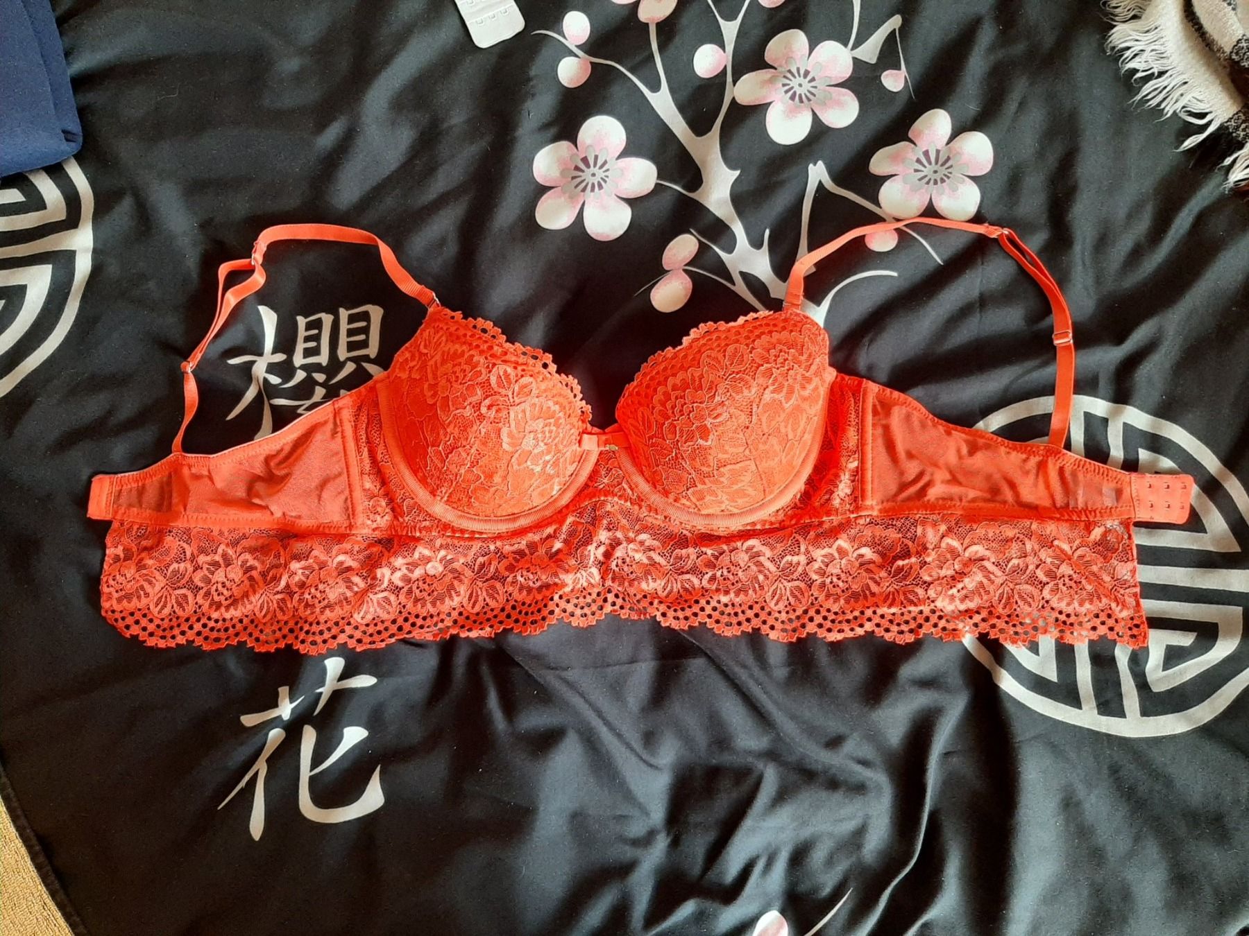 Altra biancheria intima: BH Gr. 80C  Farbe helles Rot. – Usato da Marthalen venduto da Jenny.Z 3
