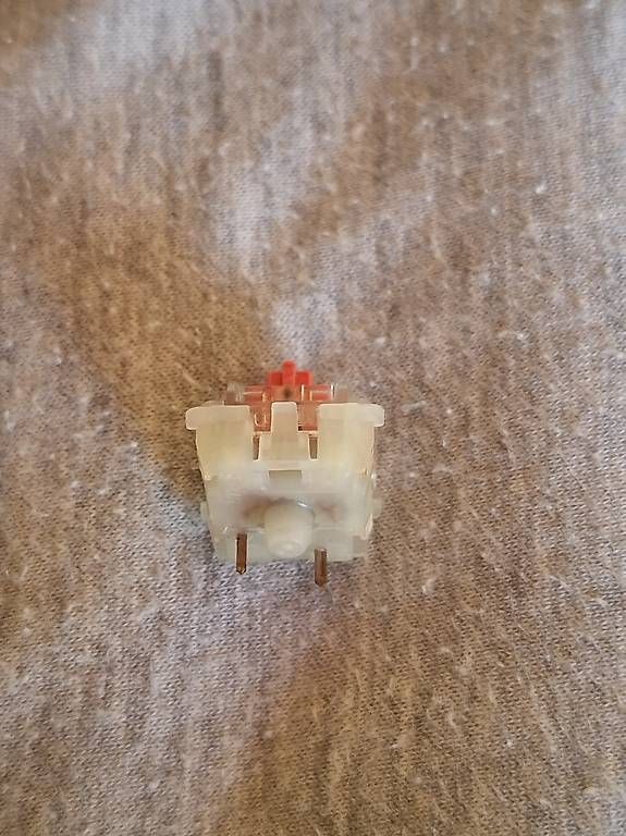Tastiere: Cherry Red Switches – Usato da Grenchen venduto da wae_s87j 3