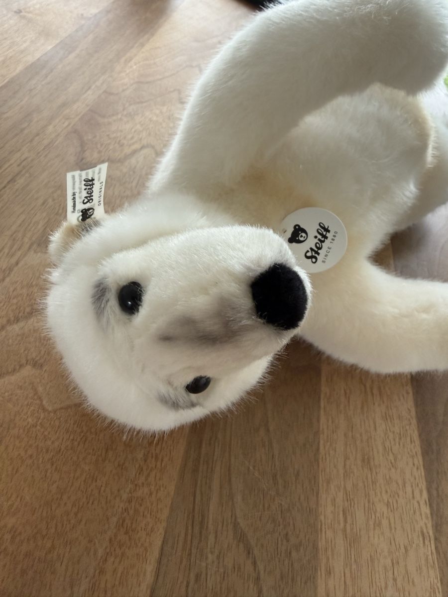 Steiff Giocattoli: Steiff Eisbär Original Plüschtier – Nuovo (secondo la descrizione) da Landquart venduto da vision22850 5