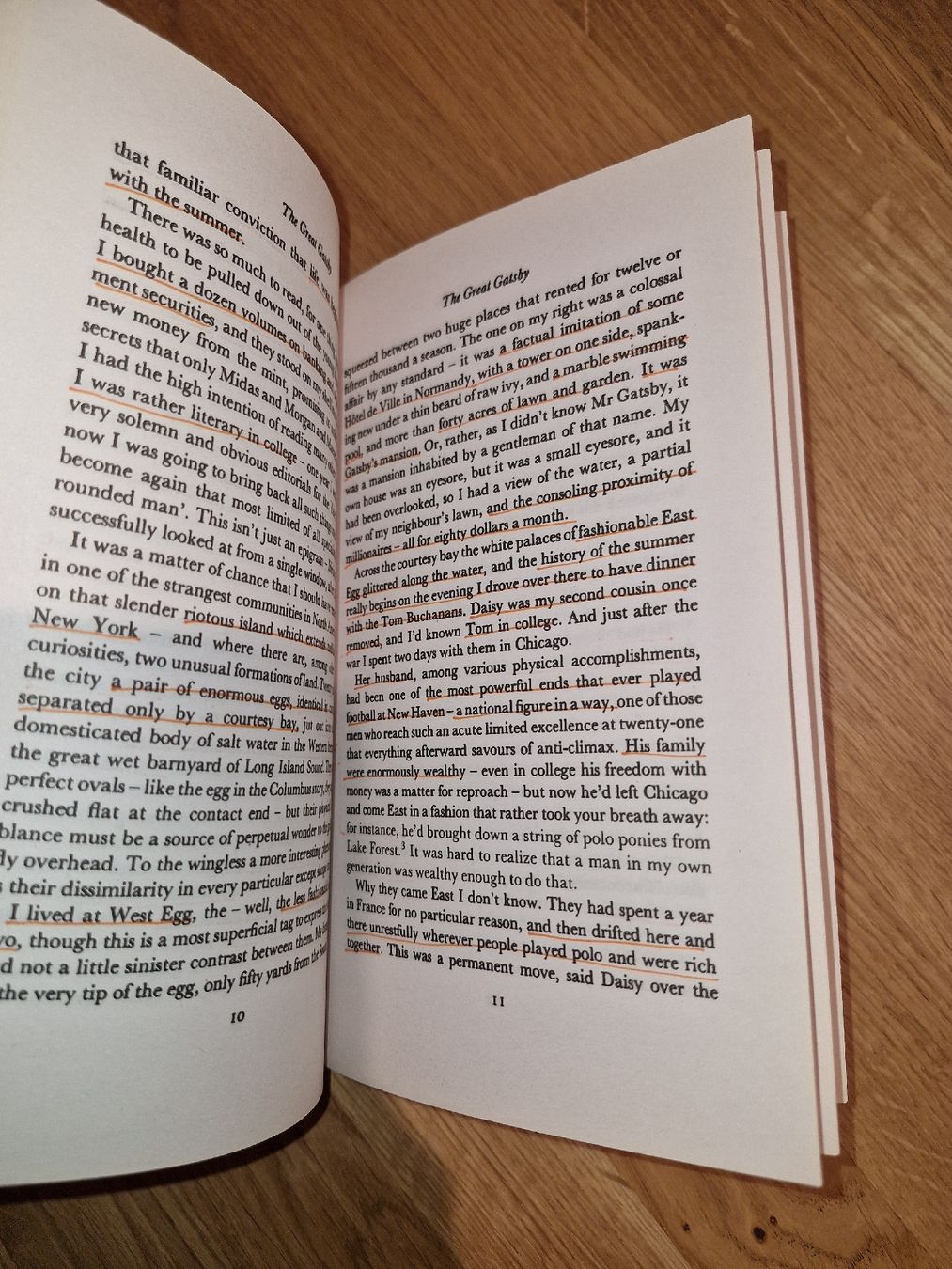 Libri: F. Scott Fitzgerald The Great Gatsby – Usato da Rothrist venduto da vogo01 1