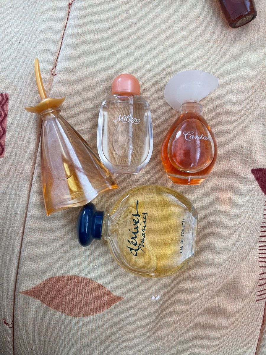 Yves Rocher Profumi & Eau de Toilette: Mini Parfum Sammlung! Yves Rocher – Usato da Birr venduto da Elines