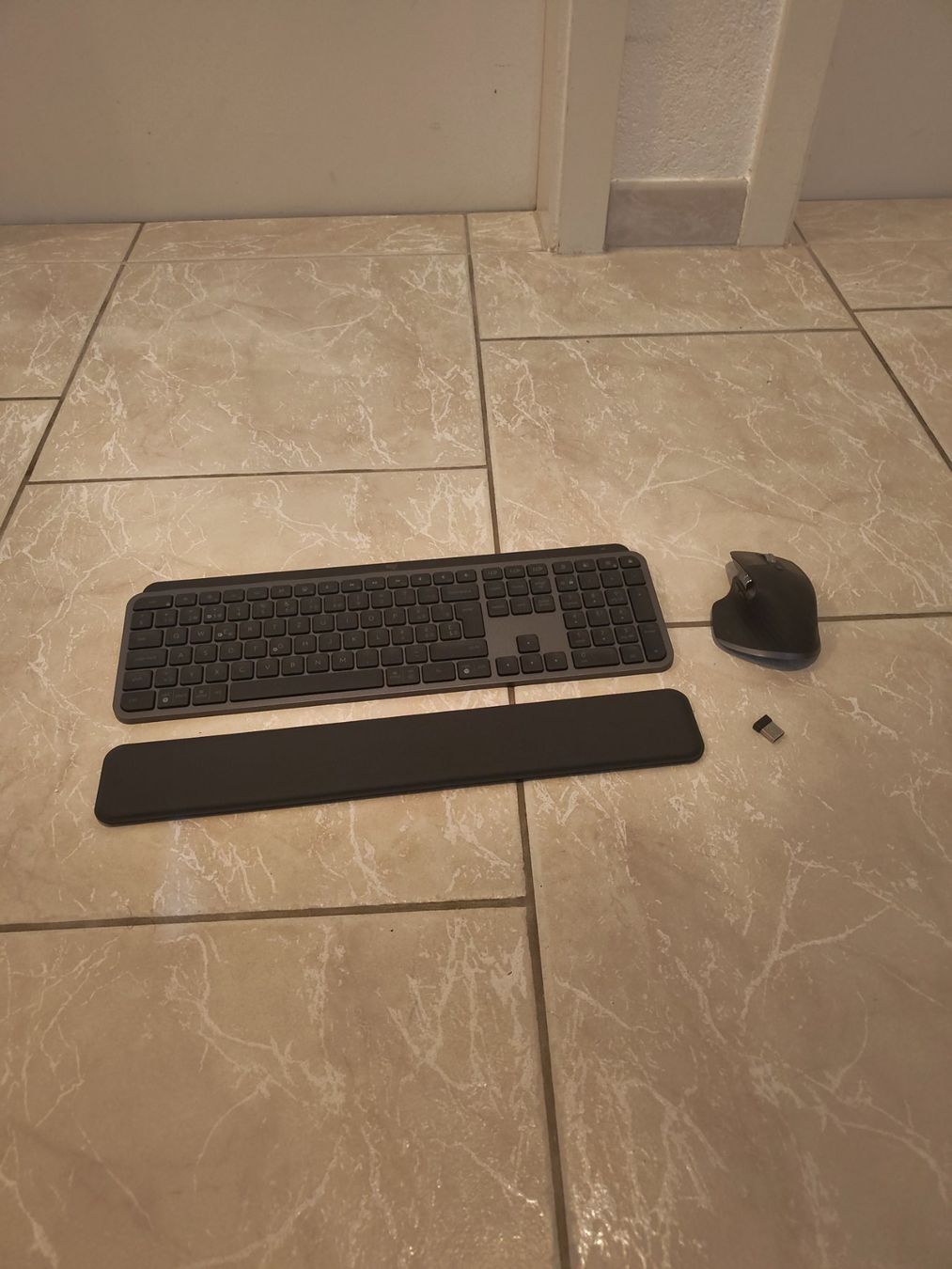 Logitech Tastaturen: Logitech MX Keys Combo – Gebraucht aus Dättwil AG von Zynq