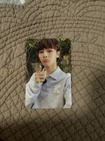 Stray Kids I.N. Sammelbild Original
