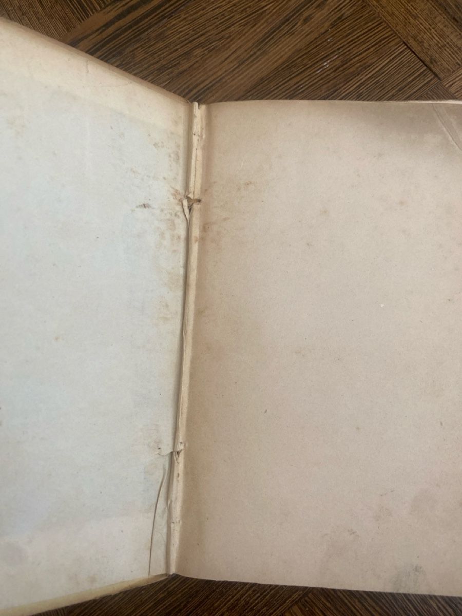 Libri: Berner - Ehrentag 25. März 1850 Buch – Usato da Burgdorf venduto da gre_2ftz 3