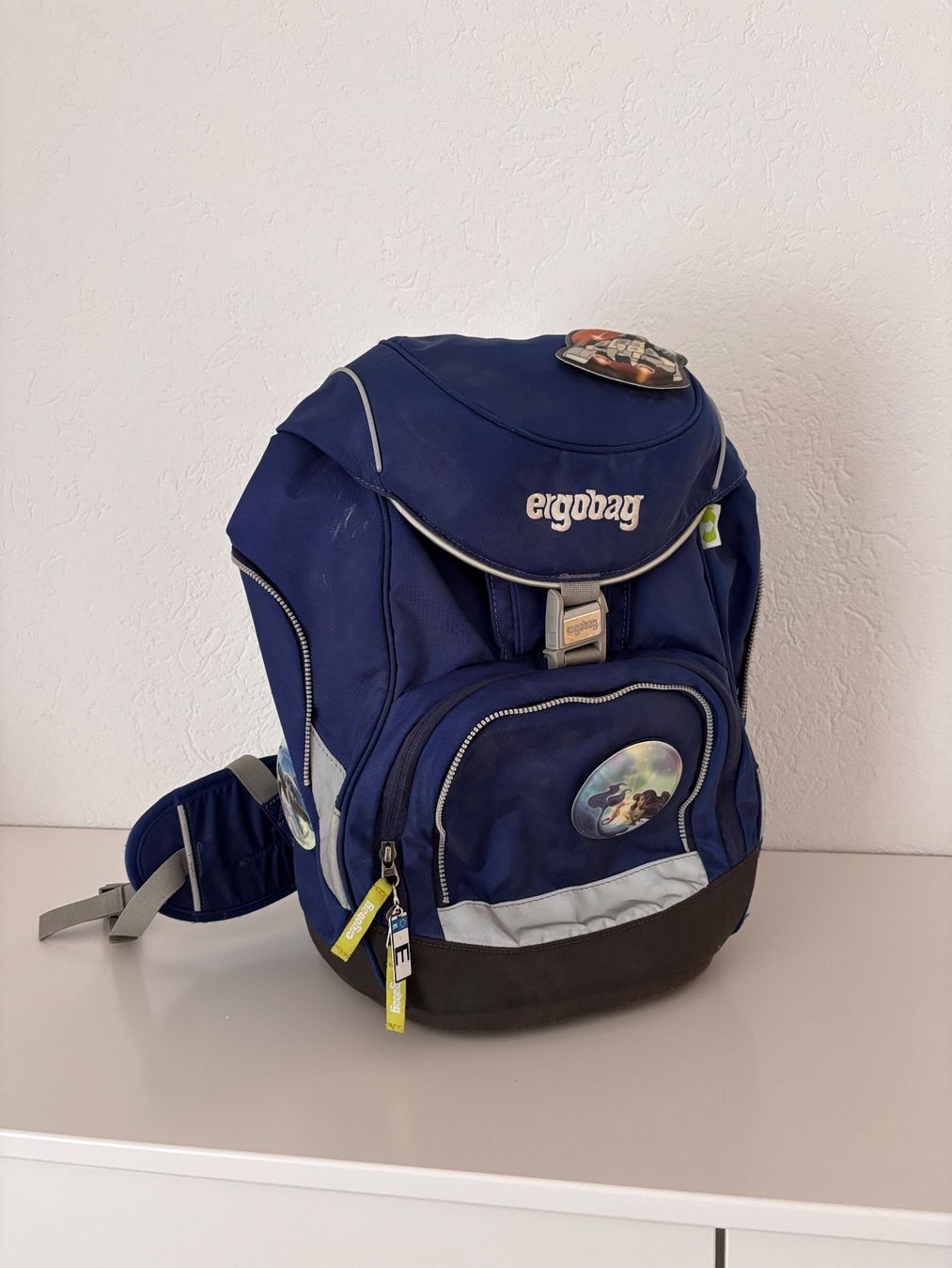 Ergobag Borse & Zaini: Ergobag Schulrucksack mit Zubehör – Usato da Stetten SH venduto da dany198300 1