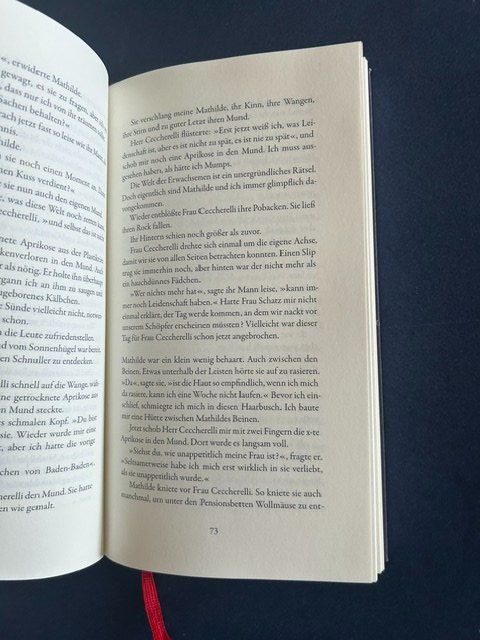 Libri: Arnon Grünberg, GSTAAD, nummeriert – Usato da Bern venduto da oregonzwei 5