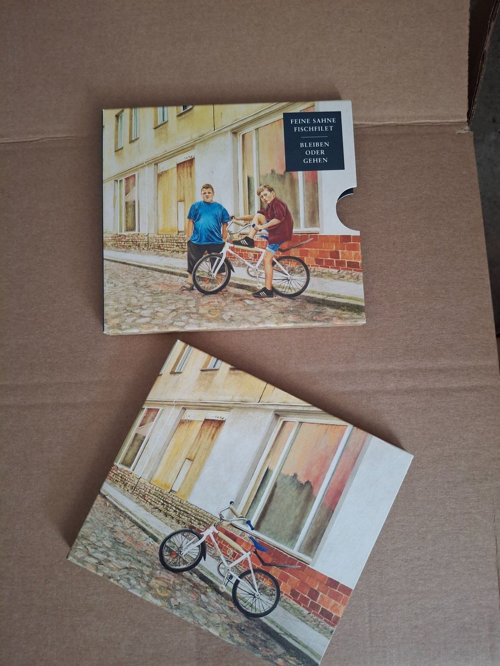CD: Feine Sahne Fischfilet - Bleiben Oder Gehen  CD  Top! – Usato da Horriwil venduto da TOKYONIGHTS