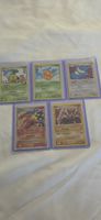 Pokémon Karten Lot – Vintage & SP Karten – Original Deutsch