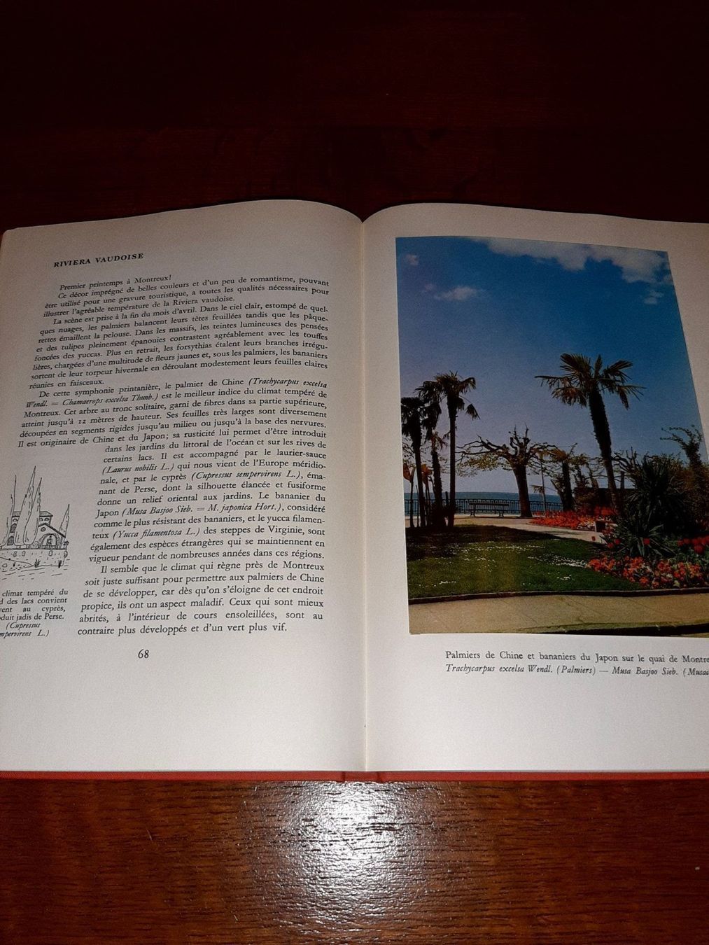 Libri: La suisse en fleurs – Usato da Le locle venduto da juliensaran 2