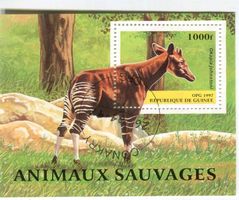 Block "Okapi". Guinea.
