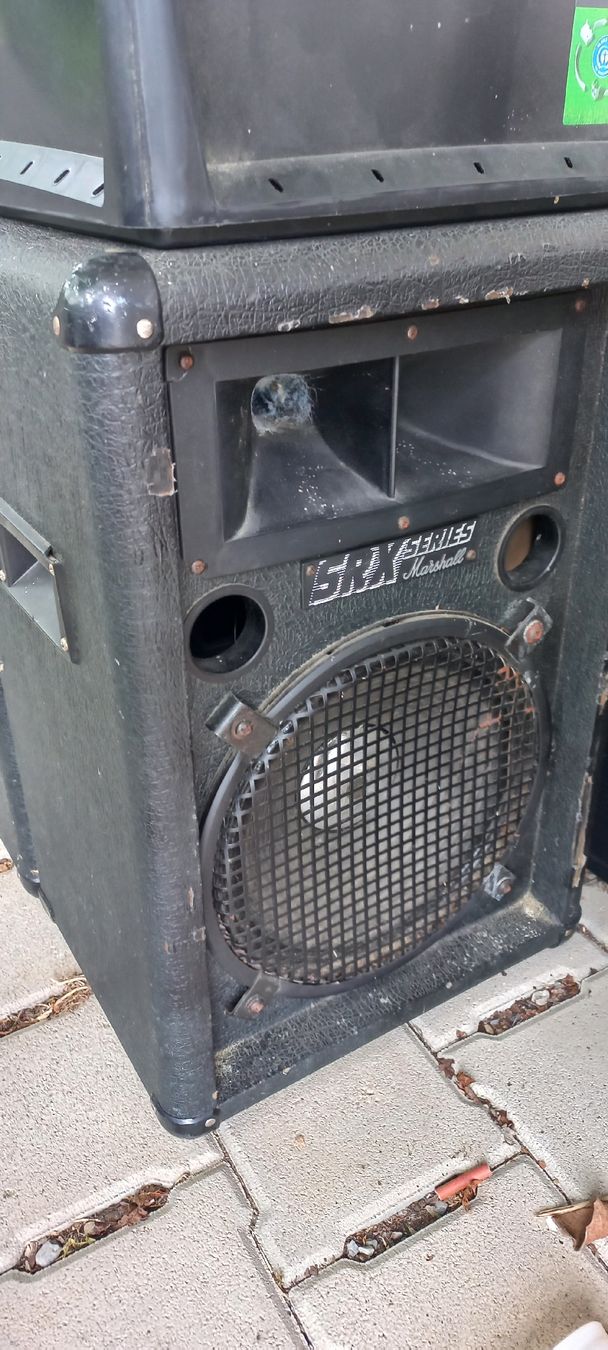 Strumenti musicali: Gesangsanlage – Usato da Schaffhausen venduto da raj_f5dm 1