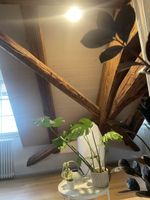 Pflanzenlampe: Leuchtmittel und Lampenfassung