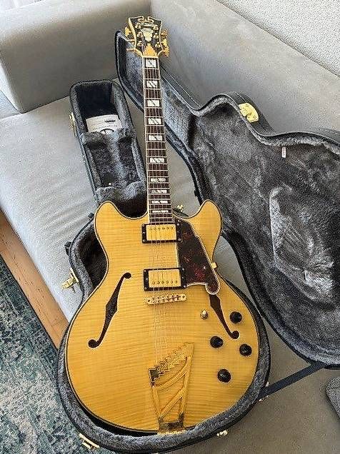 Strumenti musicali: D'Angelico DC 2018 - nature – Usato da Regensdorf venduto da jannis02