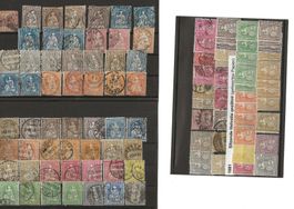Altschweiz Sammlung TOP