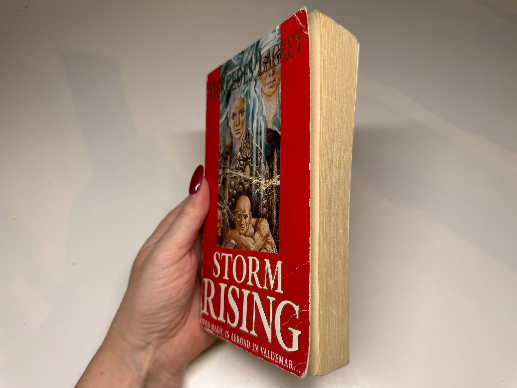 Bücher: NOVEL: Mercedes Lackey, Storm Rises – Gebraucht aus Grosswangen von English_books 1