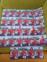 30x Rapperswil-Lakers 2015/2016 - handsigniert