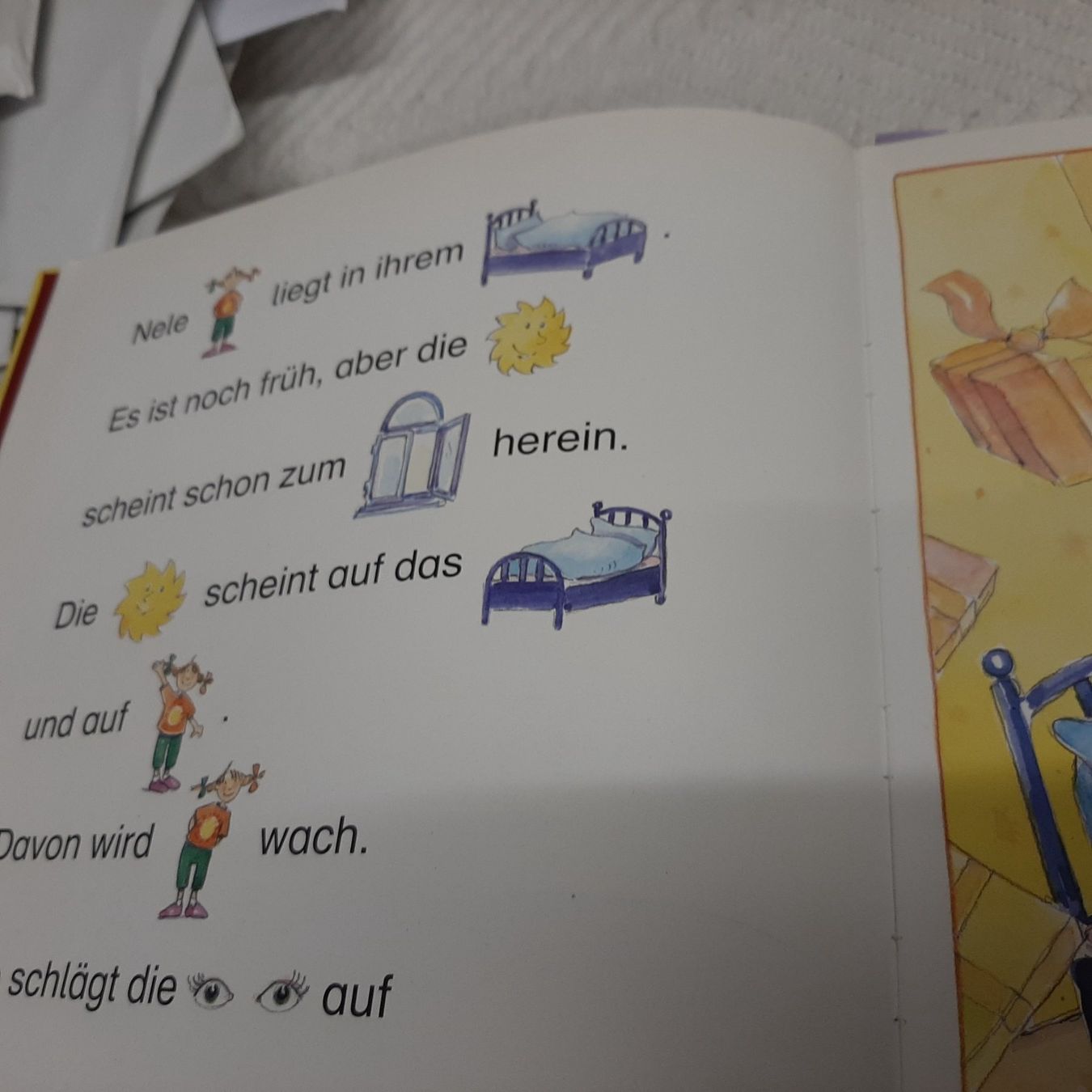 Libri: Nele hat Geburtstag – Usato da Zürich venduto da Schoebi19 2
