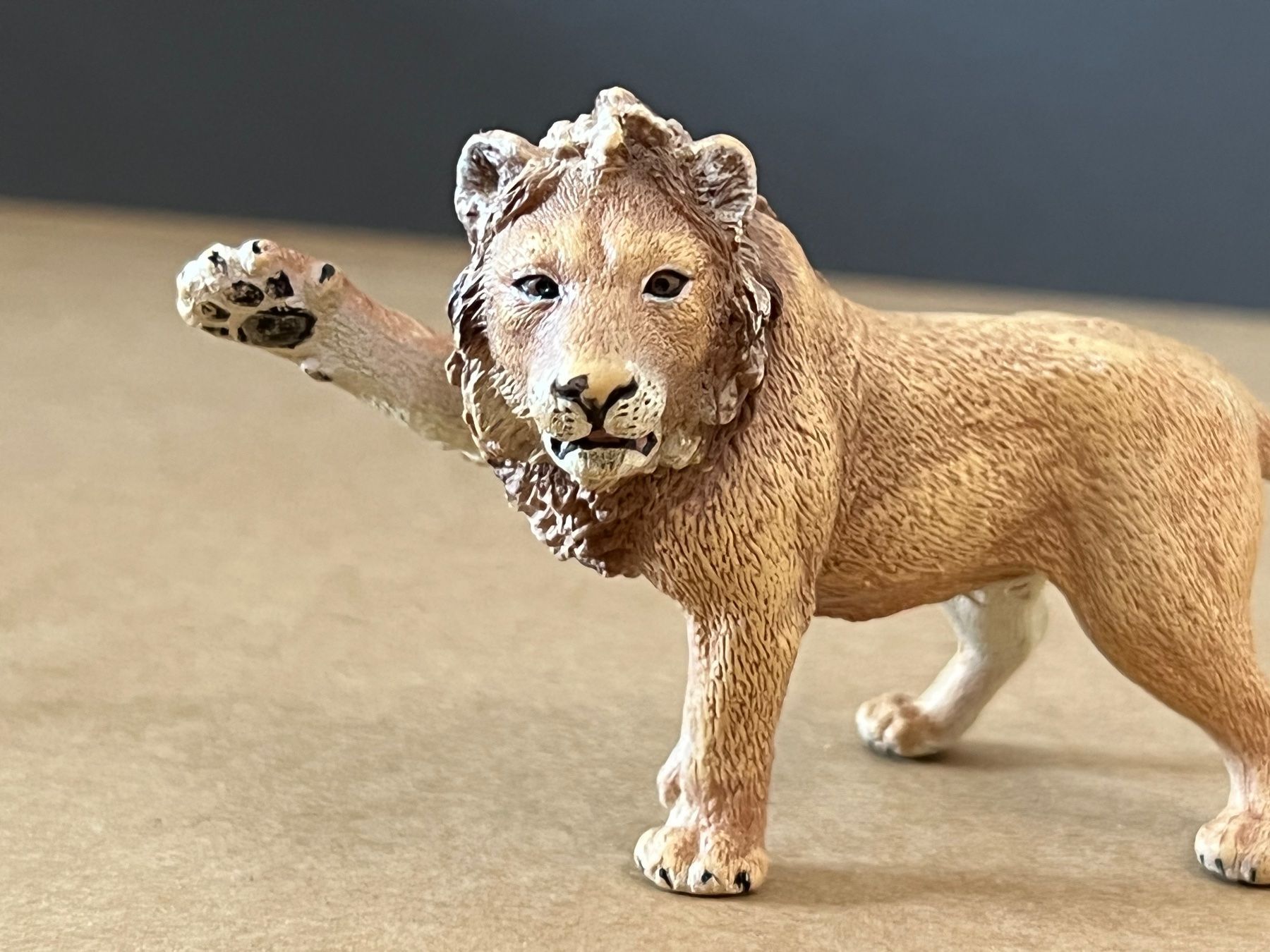 Schleich Statuette: Schleich 14374 Junglöwe Löwe – Nuovo (secondo la descrizione) da Ennetbaden venduto da mapa05 1
