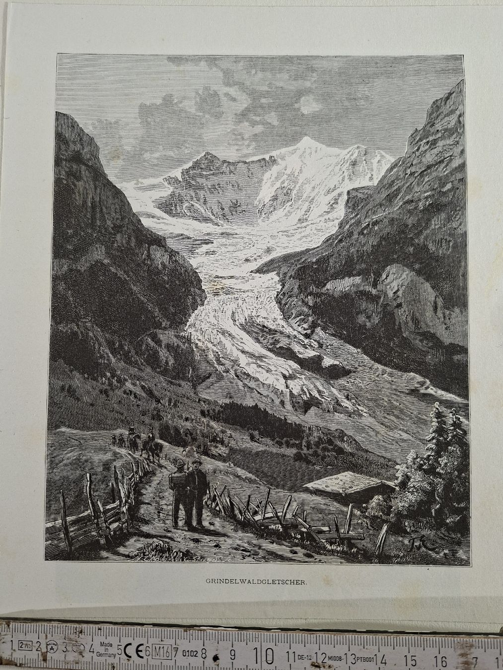 Incisioni: Lot 34, 5 Stiche  – Usato da Grindelwald venduto da carro5 1